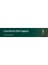 Luxómetros Data loggers